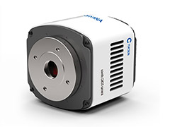 Tucsen анонсировала камеру с датчиком sCMOS с квантовой эффективностью 95%, предназначенную для микроскопии